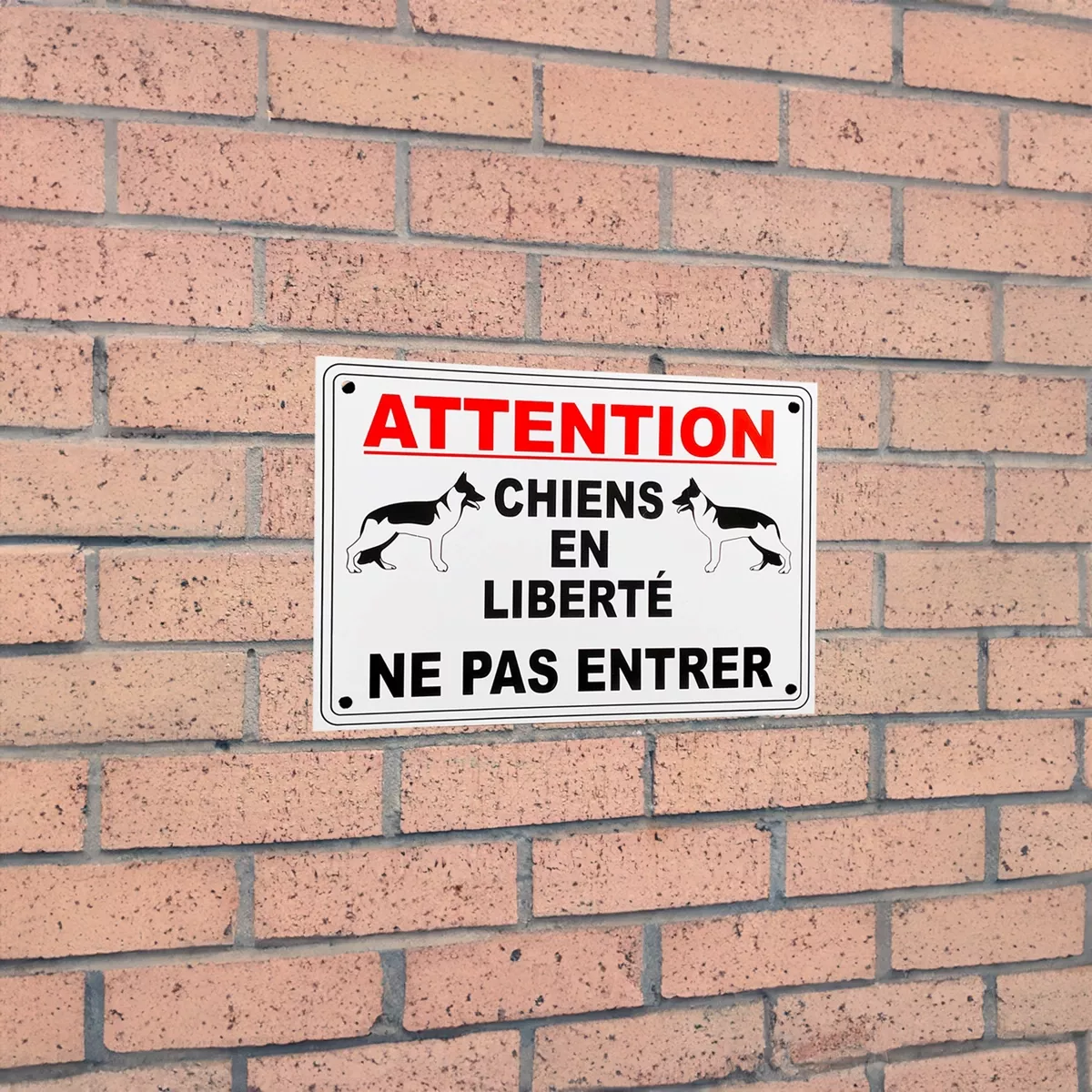 Panneau extérieur 'ATTENTION CHIENS EN LIBERTÉ NE PAS ENTRER' - PVC  résistant (format A5)