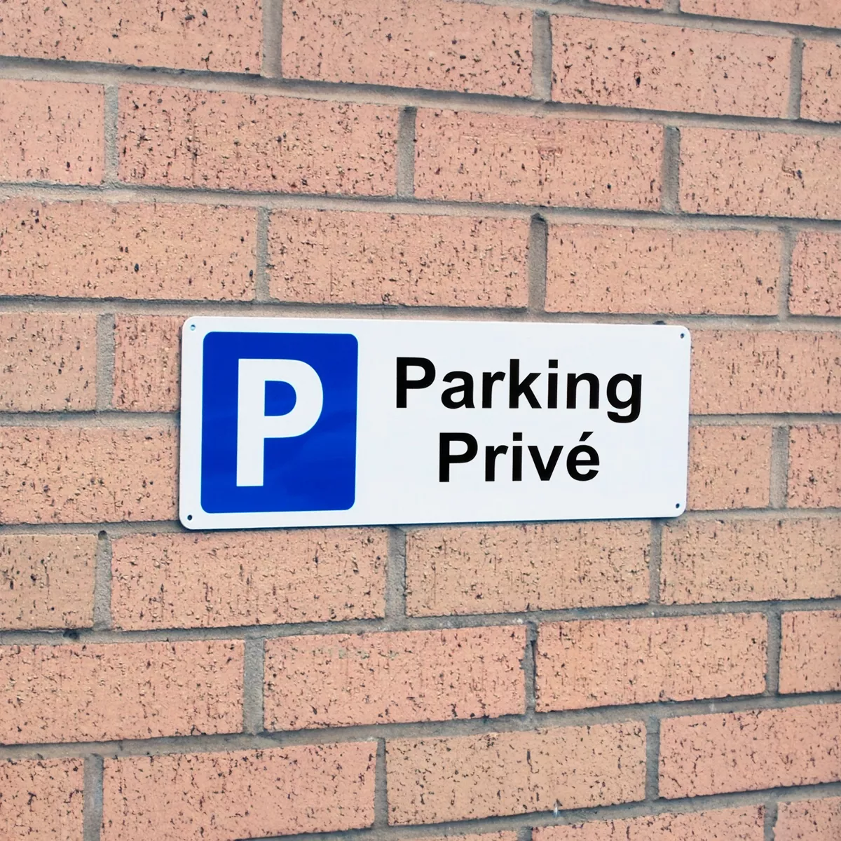 Large panneau extérieur 'Parking Privé' - PVC résistant (42 x 14