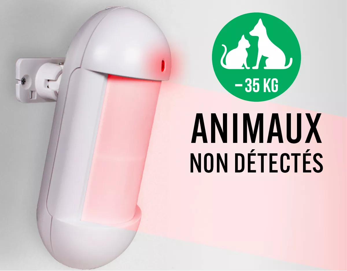 Détecteur de mouvement infrarouge immunisé aux animaux de moins de 35 kg